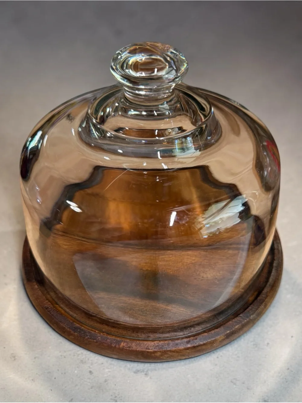 CURATED Glass Cloche with Wooden Base